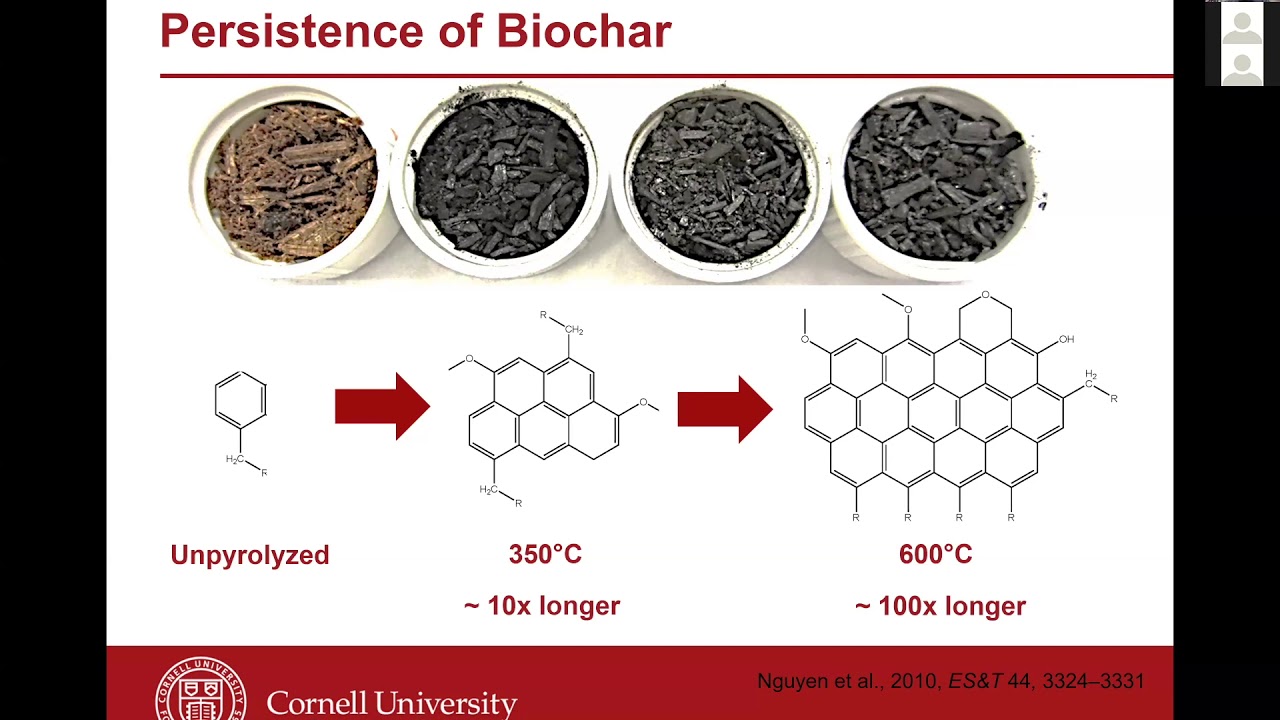 Biochar: An ICRLP Explainer Video