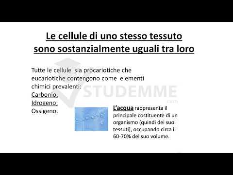 FREE HISTOLOGY VIDEO SUMMARY | HISTOLOGY IN GENERAL