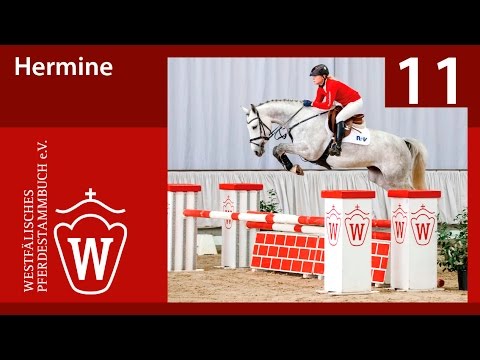 11 Hermine Stute v. Hermes de Luxe - Calato