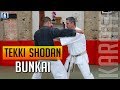 Bunkai Tekki Shodan Karate