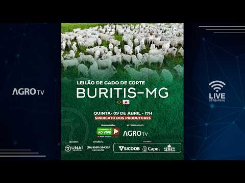 UNAÍ LEILÕES - BURITIS MG - 09/04/2026