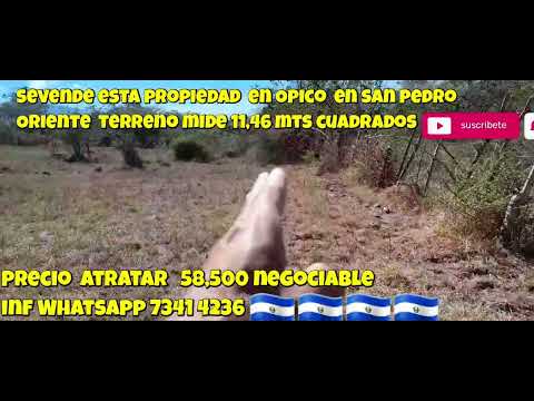 Propiedad disponible en  san juan Opico san pedro Oriente 