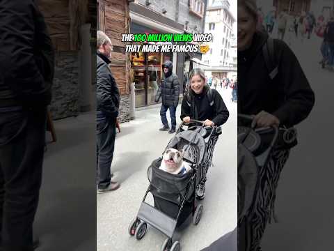 The 100 Million Views video that made me famous 🤯 #pet #dog #funny
