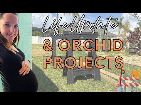 Life Update & Orchid Projects