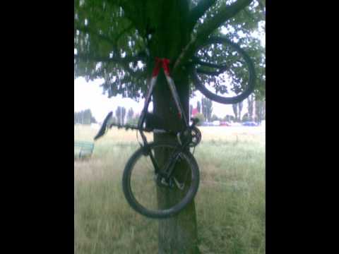 Taktyczny Wojtek - Nobody Knows.