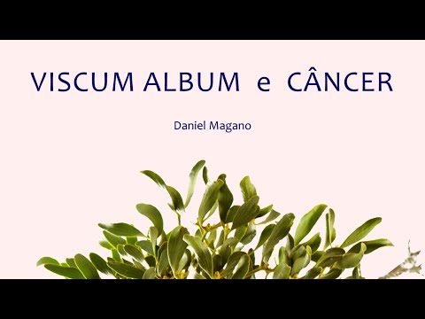 Miniatura: Viscum album e câncer