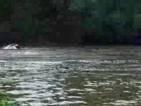 Emi and Perry Bail BIG TIME