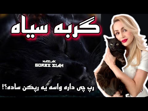 Maslak “Gorbe Siah” Reaction- ری اکشن به “گربه سیاه” مسلک