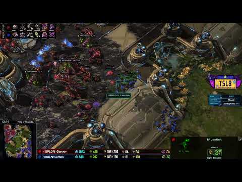 Fungal + Parasitic Bomb Combo (2021)