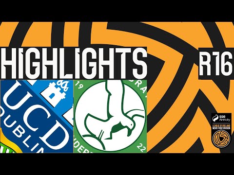 bg-highlight