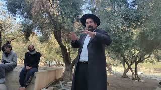 18 בנובמבר 2025 (ישיבת הר הבית) - התמונה מוצגת ישירות מתוך אתר האינטרנט יוטיוב. זכויות היוצרים בתמונה שייכות ליוצרה. קישור קרדיט למקור התוכן נמצא בתוך דף הסרטון