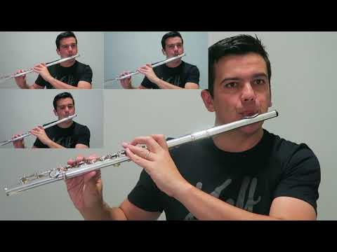 HINO 379 - GRANDE FESTA HAVERÁ NOS CÉUS - CCB - FLAUTA TRANSVERSAL