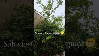 CHUVINHA ABENÇOADA 😍 PROPÍCIO PARA MARATONAR SÉRIES 📺