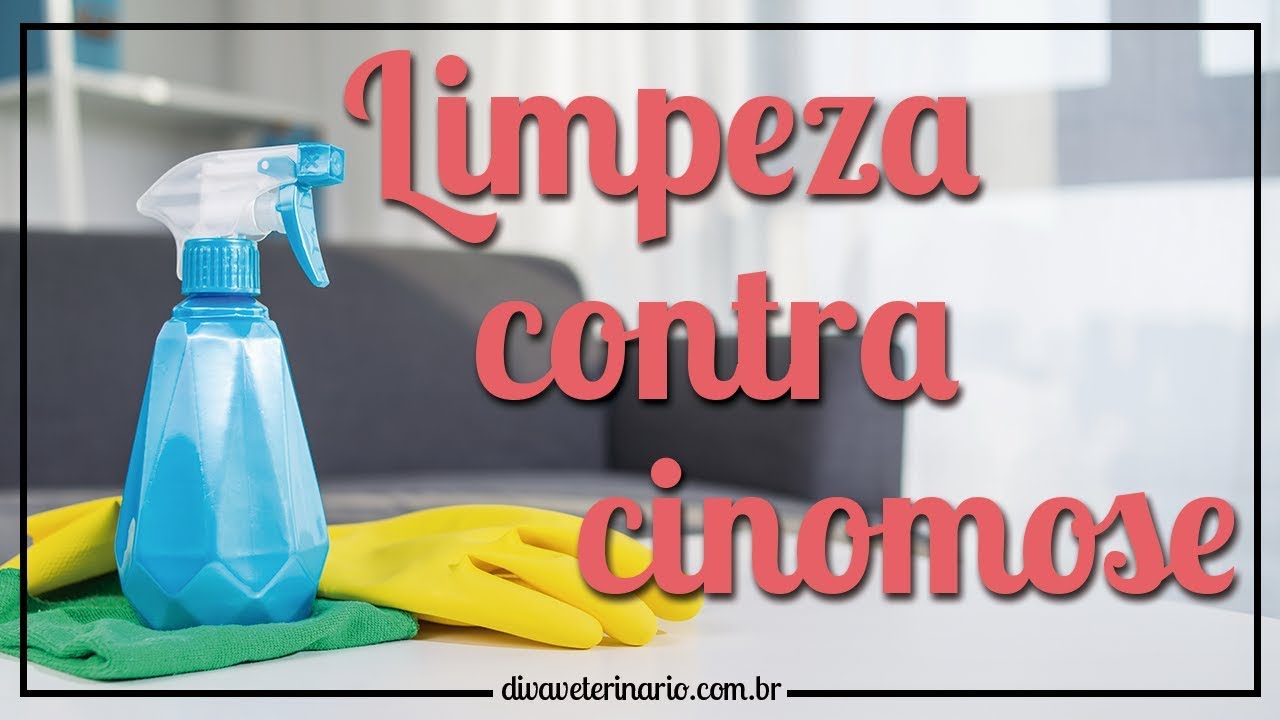 LIMPEZA PARA SE LIVRAR DA CINOMOSE | Divã Veterinário