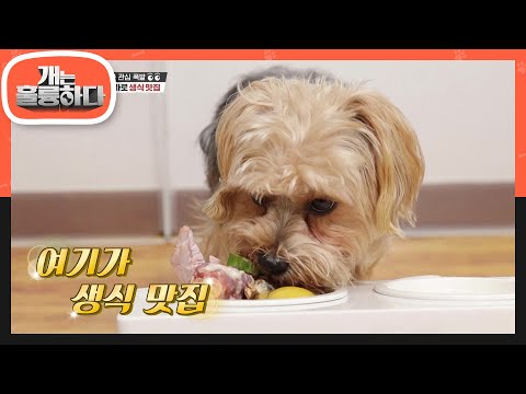 아이콘