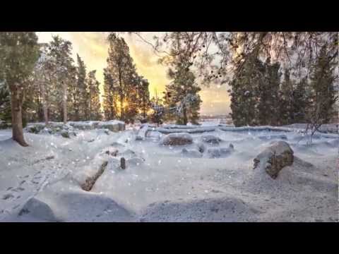 IVICA BAGO - BOŽIĆ BIJELI (official music video)