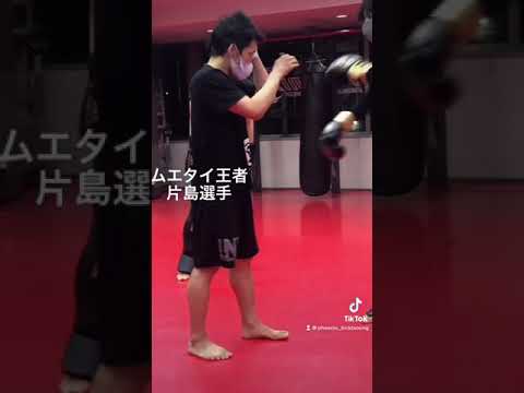 パンチのカウンターに膝蹴りを狙う場合のポイント