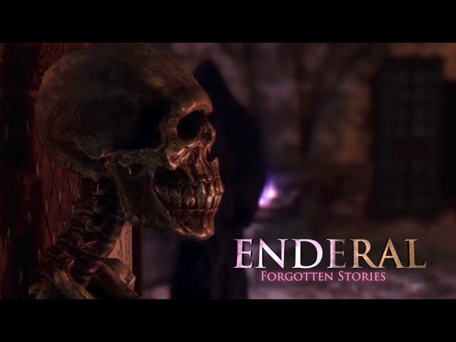 enderal launcher runs skyrim