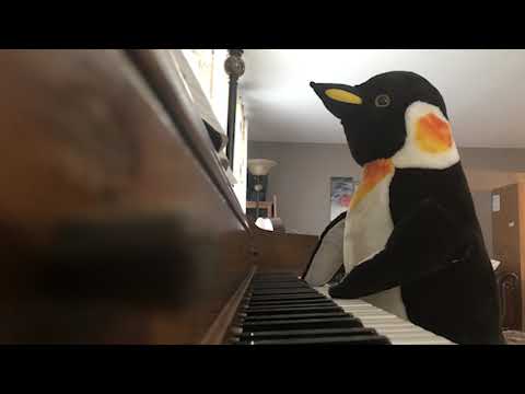 my penguin knows how to play piano