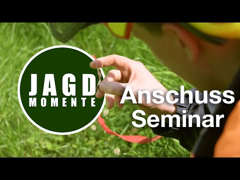JagdMomente | ANSCHUSS SEMINAR