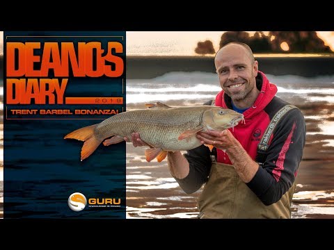 DEANO'S DIARY; Bagging River Trent Barbel