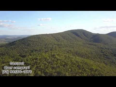 OPORTUNIDADE! FAZENDA DE EUCALIPTO OU GADO A VENDA EM PIRENÓPOLIS-GO. DE PORTEIRA FECHADA.