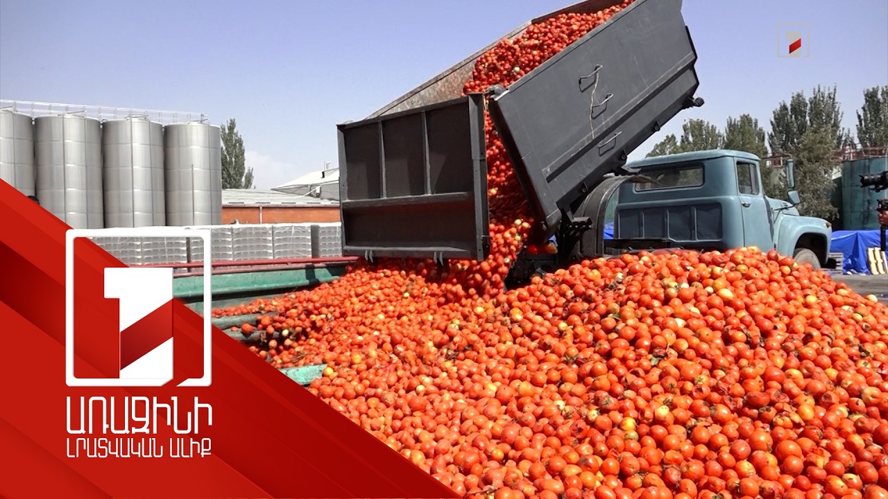 Լոլիկը կմթերվի առնվազն 40 դրամով. համաձայնություն է ձեռք բերվել