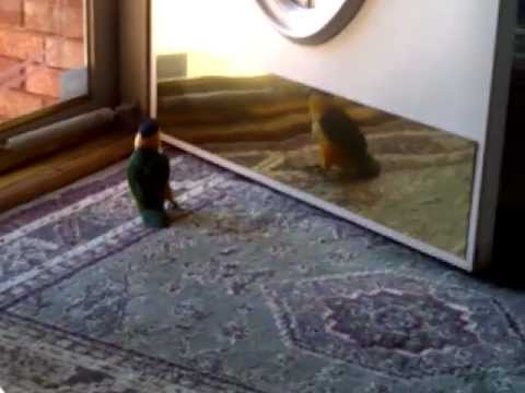 Ти си жесток, чудесен, невероятен