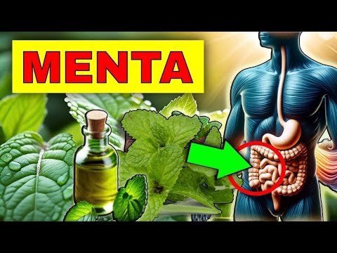 THE HEALING POWER of MINT (OIL and TEA) HOW TO USE IT