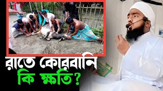 রাতে কোরবানী করা যাবে কি?