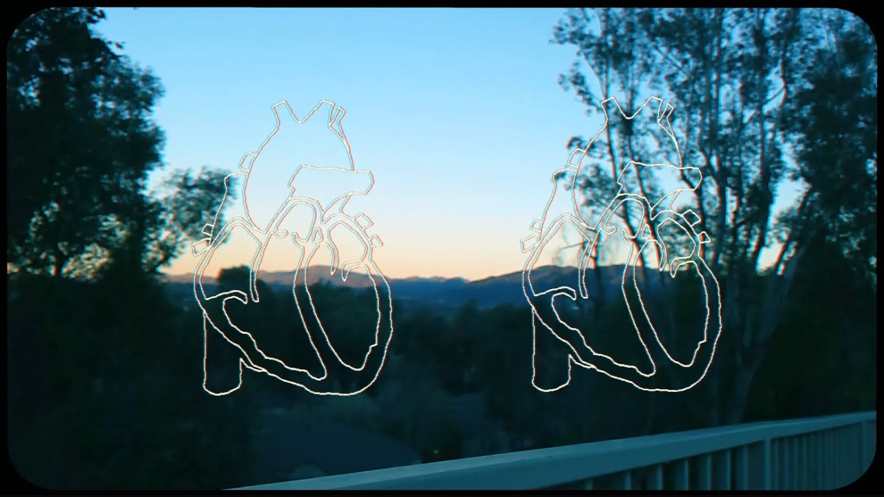 Simple Creature - CalArts Film 2024