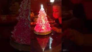 Feliz Navidad desde Memphis TN