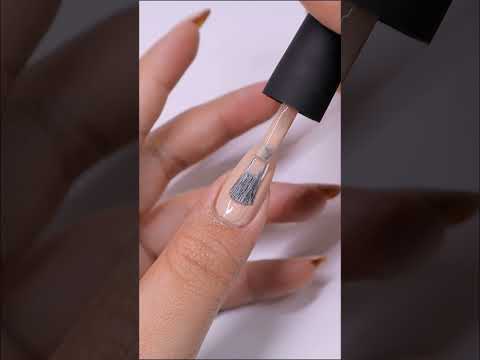 BISCUIT, Picture Polish