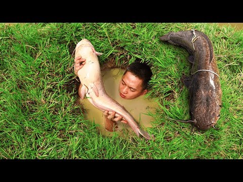 Build Fish Trap And Catch Catfish In Secret Hole By Smart Boy - Boy Catching Giant Big Fish In Hole Video