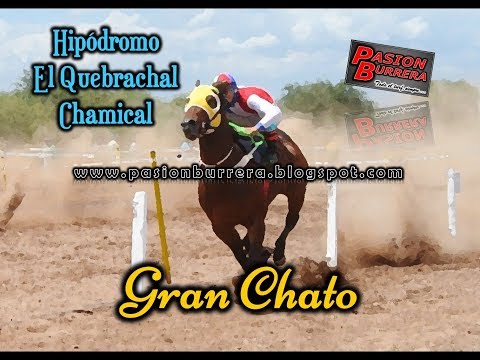 GRAN CHATO, El Quebrachal - Chamical (15-12-19)