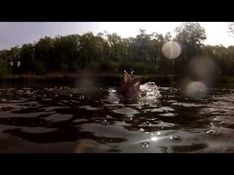 JENZI 2013 - Corrigator Jack-S (fishing & Angelsport)