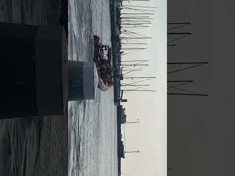 marinus Cornelis met spoed naar een dier in problemen bij de omele bommele stienn #knrmurk