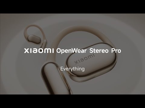 Xiaomi OpenWear Stereo Pro TWS Titan Gray