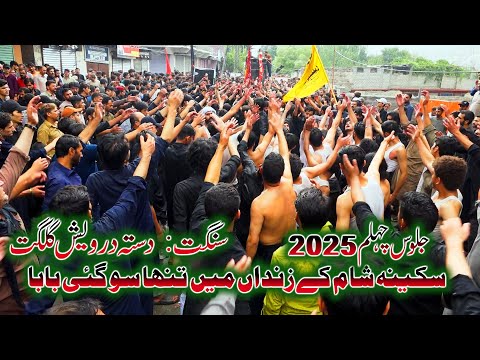 New Noha 2025 | Sakina Shaam ke zindan mein tanha ho gayi baba | Dasta e Darwaish Gilgit