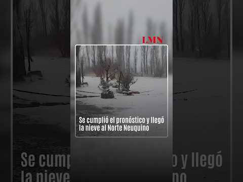 Se cumplió el pronóstico y llegó la nieve al Norte Neuquino
