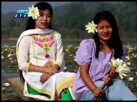 সাদা শাপলা দেখতে ছুটে যাচ্ছেন প্রকৃতিপ্রেমিরা