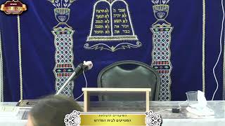 בית המדרש "תורת דוד" ¤ שידור חי ¤ י"ז אלול תשפ"ה (10.9.2025) (מוסדות תורת דוד) - התמונה מוצגת ישירות מתוך אתר האינטרנט יוטיוב. זכויות היוצרים בתמונה שייכות ליוצרה. קישור קרדיט למקור התוכן נמצא בתוך דף הסרטון