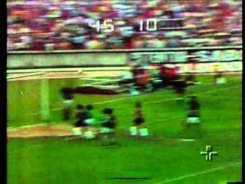 Gol Pio - Palmeiras 2 x 3 Santa Cruz