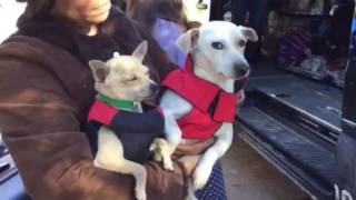 54 Lives Saved for the New Year