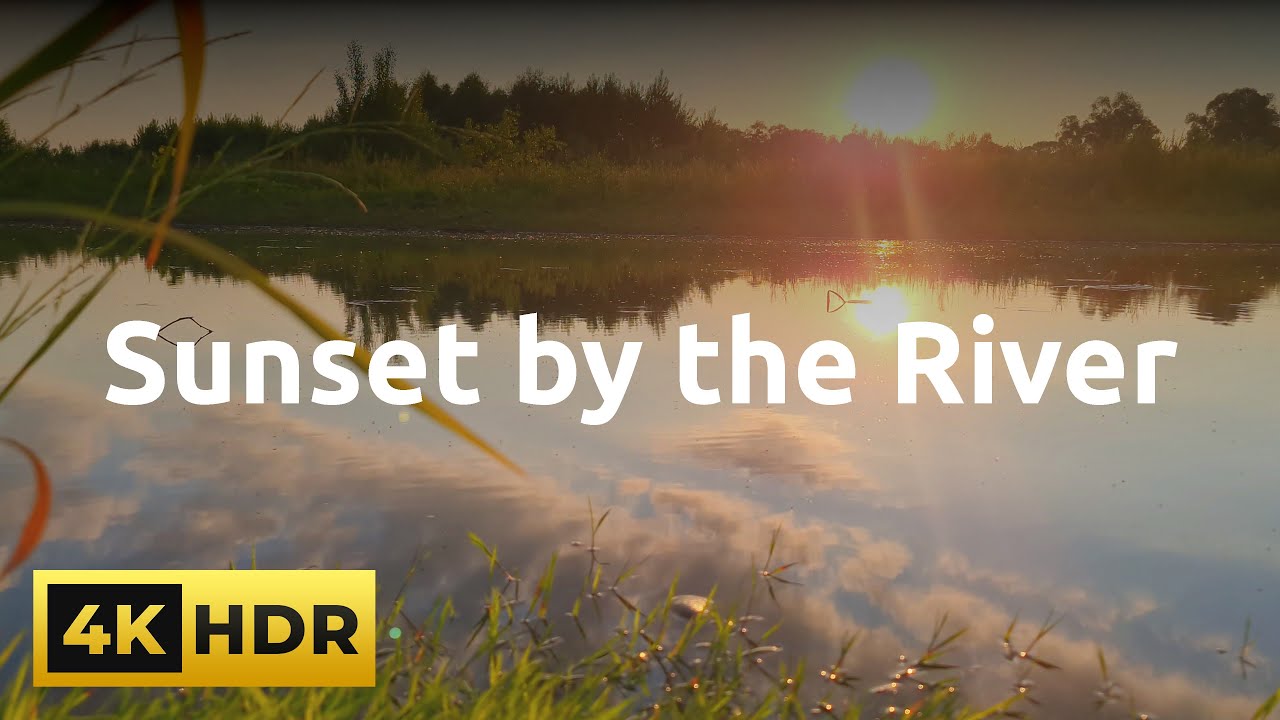4K Wild Nature Serenity: Sunset by the River #4k #4kstatus #wildnature #sunsetviews