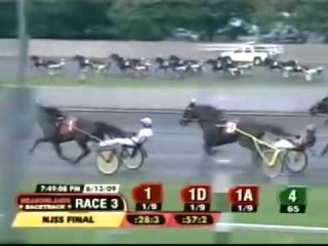 Muscle Hill. New Jersey Sire Stakes - Final 3 Year Old Colts & Geldings. 13-6-2009