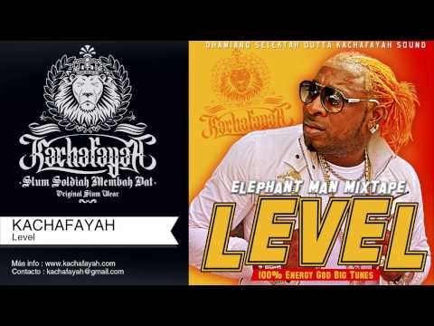 Dhamiano Selektah (Kachafayah Sound) - LEVEL (Elephant Man Mixtape)