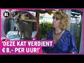 ZIEN: Kale kat Wilma is een grote ster: 'Net een alien!'