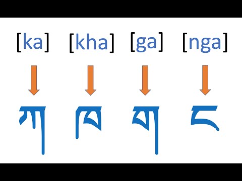 The 30 Tibetan Alphabets