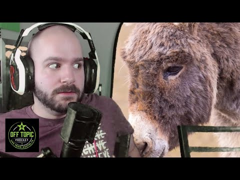 Jeremy, The Littlest Donkey - Off Topic - #244